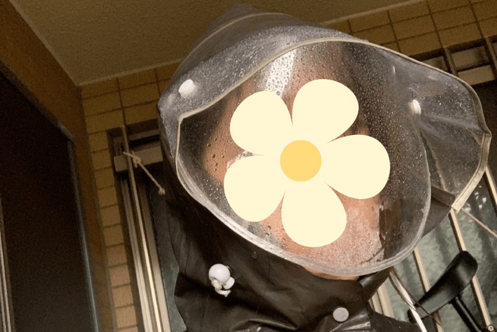 雲、風、雨と秋の曇りの自然背景を鼻で面白い馬顔銃口の写真素材・画像素材 Image 87485569