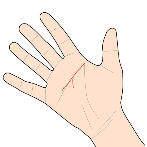 手相『知能線・頭脳線』を学ぼう！2股に枝分かれ？短いとおバカ？ 完全図解- zired