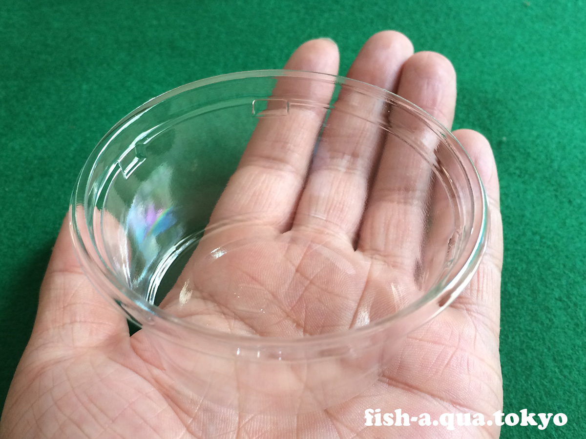 メダカの卵に白カビ 水カビ が発生する原因と防止する方法 - きんぎょりうむ