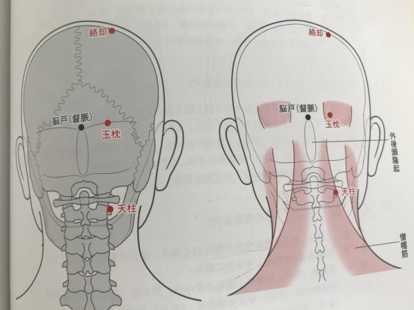 第4回 首のコリを取る日経クロステック xTECH