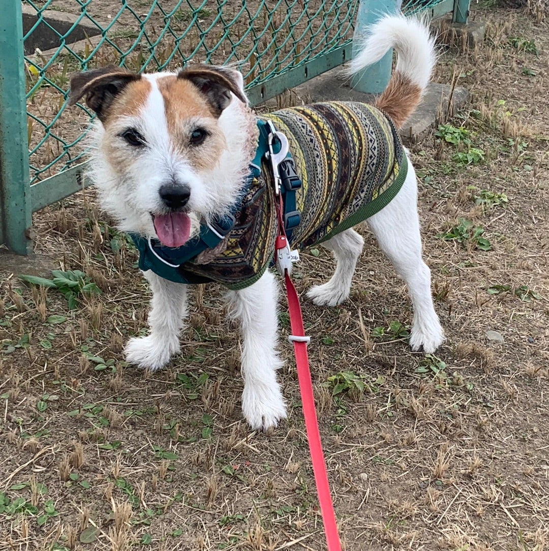 製品の紹介田苑酒造