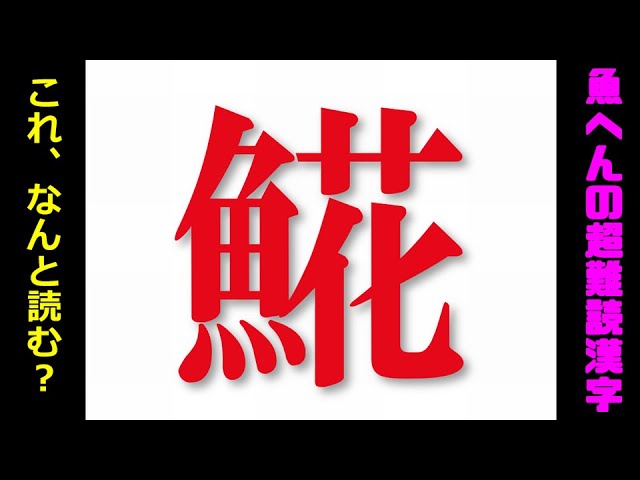 魚へんに「市 帀 」でなんと読む？「魳」の正しい読み方・由来をご紹介！ 魚へんの漢字辞典釣りラボマガジン