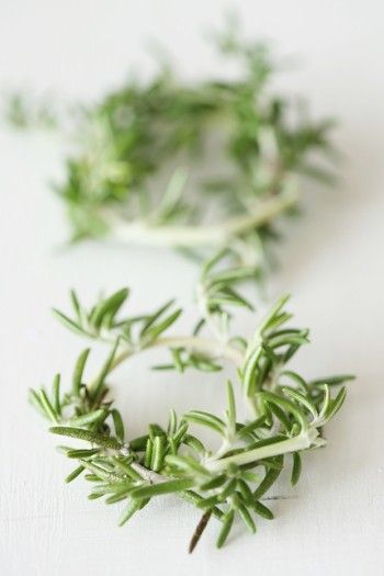 ローズマリーの使い方♪ : わたしのくらし