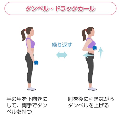 監修 上腕二頭筋トレーニングダンベル＆自重筋トレメニュー7選 – パーソナルジム情報マガジン