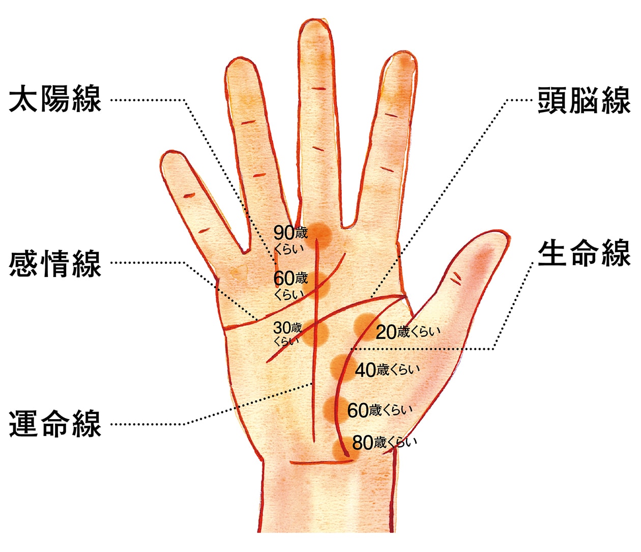 手相 生命線と知能線がどこで分岐するかをみると相性が悪い、でもだいじょうぶ！ ０学鑑定士 桂 令悠