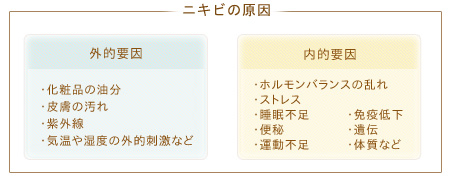 外界からの刺激の受容