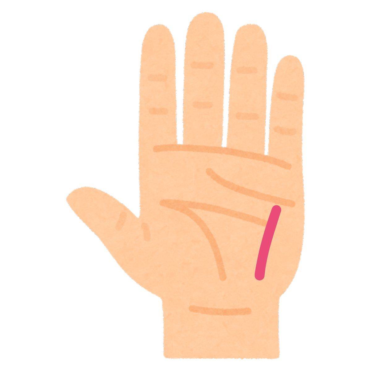 小指の手相の見方とは？ 部位や線・マークのパターン別意味 手相占い 「マイナビウーマン」