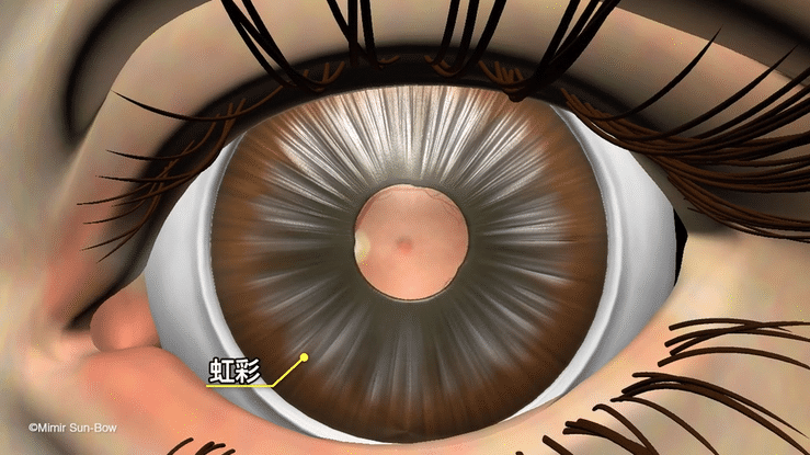 原発閉塞隅角緑内障よくある目の病気 87京橋クリニック眼科大阪市都島区京橋駅前の眼科専門のクリニック