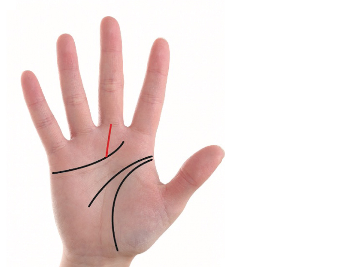 月丘でわかる手相！横線の意味や様々な状態 完全ガイド- zired