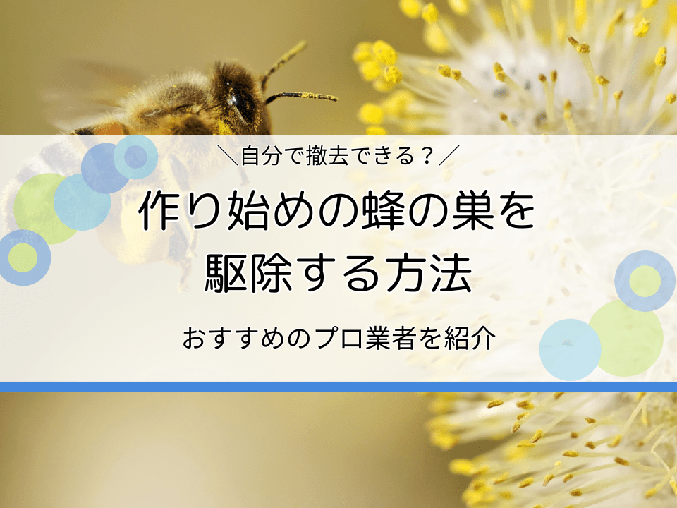 女王蜂の死、巣と群の変化大和ミツバチ研究所