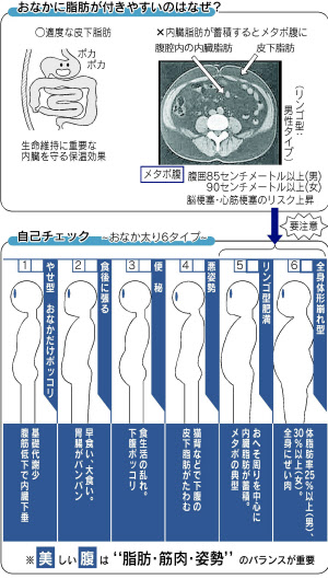 胃下垂の治し方！ポッコリお腹もこれで解消！生活の知恵 お役立ち情報