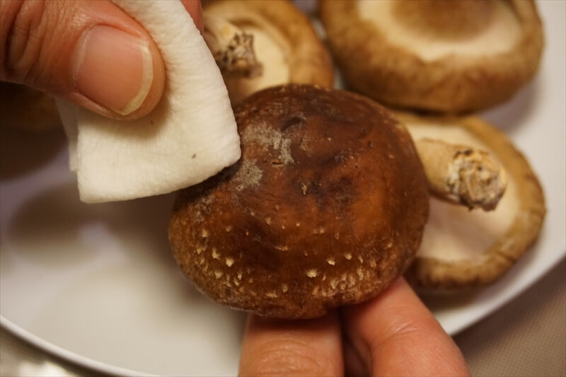 きのこに白いふわふわとしたカビのようなものが！食べても大丈夫？管理栄養士が解説ヨガジャーナルオンライン