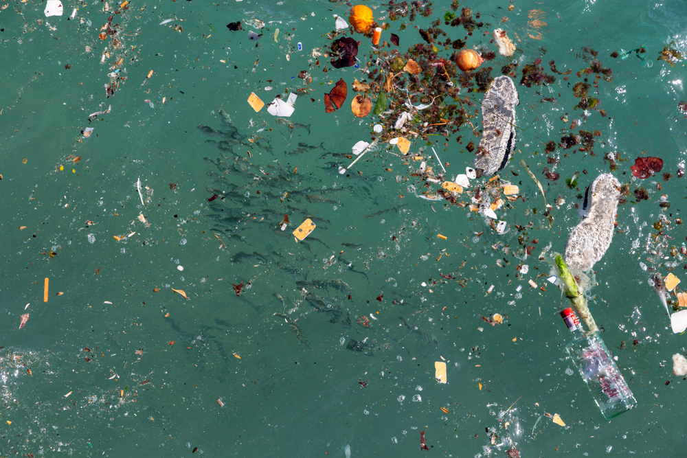 海ごみに温暖化 近い将来、魚や貝が食べられなくなる？日本財団ジャーナル