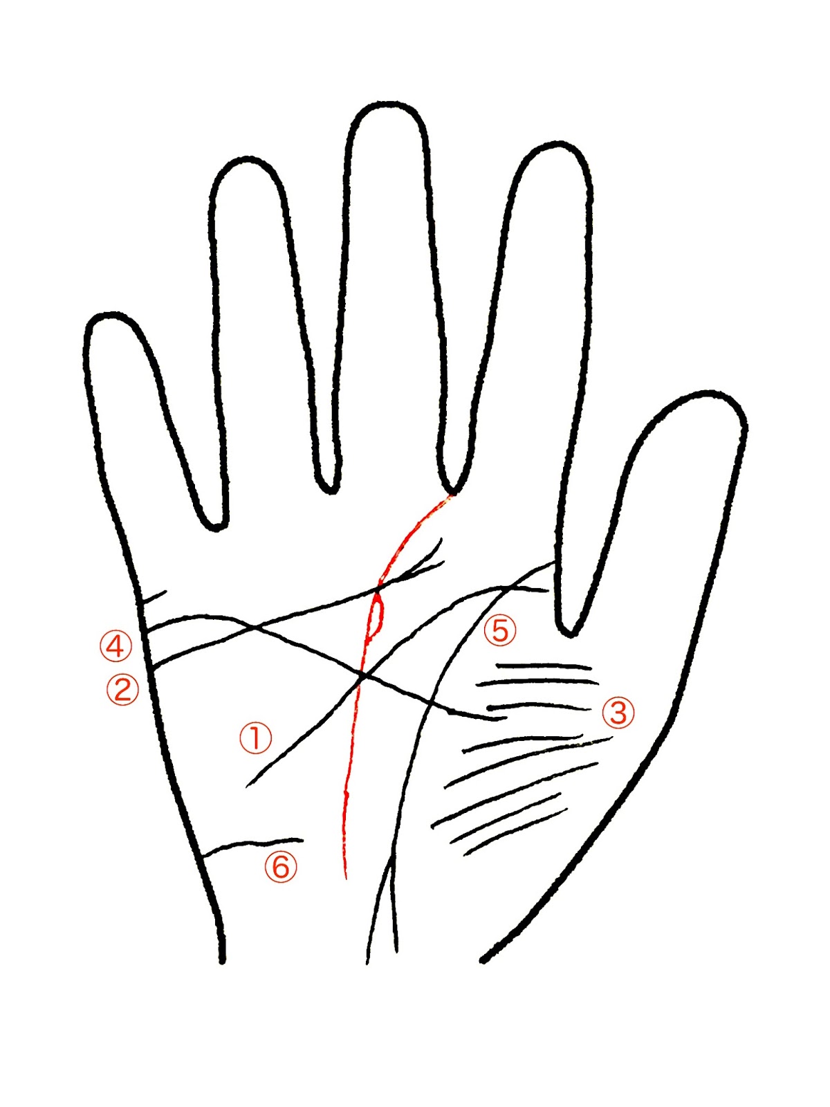 手相占い徹底解説！7大線と幸運な手相7選！│資格のキャリカレ