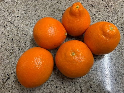 みかんの皮で簡単に「洗剤水」が作れる！シンクや床掃除に活用する方法