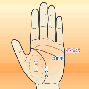 手相・線・紋・印について手相について名古屋 大須 占処 桃源院
