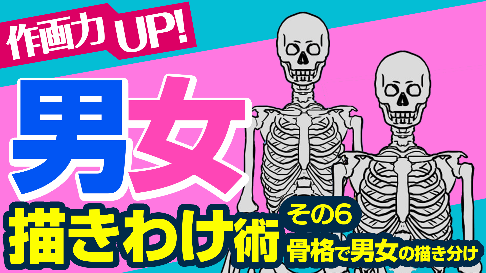 Visual Anatomy 視覚解剖学