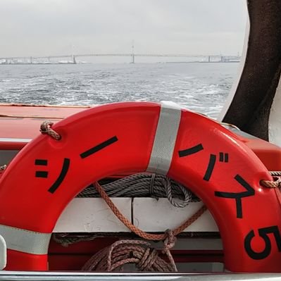 楽天市場 カンフー武具・金瓜錘 きんかすい短器械: 天宝堂