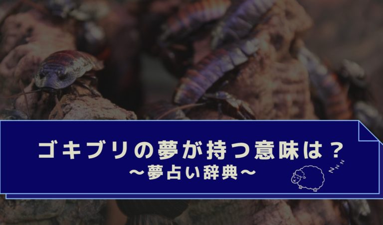 夢占い夢診断 ゴキブリを駆除・退治する夢！数や大きさ別に意味を解説michill byGMO ミチル