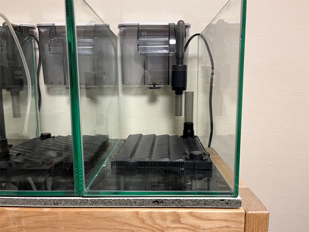 水槽用底面フィルターはろ過能力抜群！その特徴や設置方法・使い方など！アクアリウム初心者