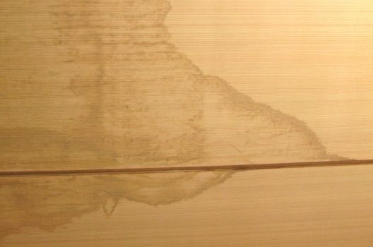 フローリングにダニは潜んでる？今すぐできる退治法と予防策を紹介衛生害虫110番