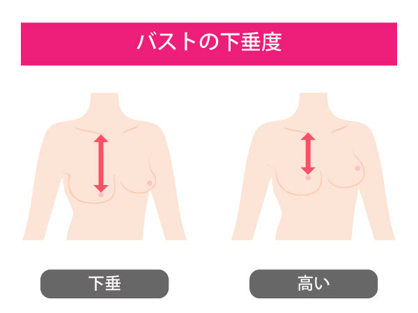 Dカップの胸はどれくらい？サイズ感やバストの測り方、ブラジャー選びのポイントまで