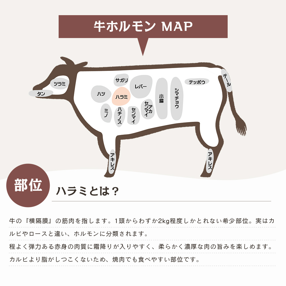 お肉の知識食肉卸ならミートキムラ株式会社ミートキムラ