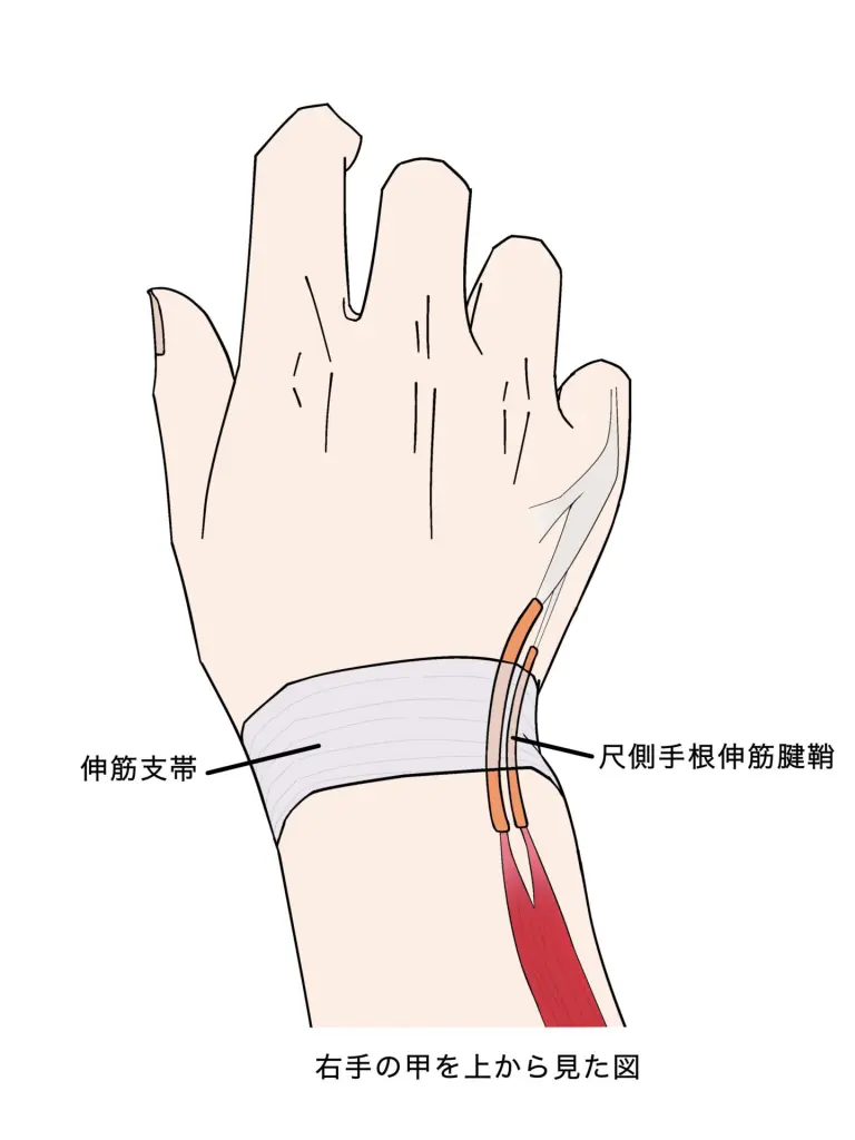 青空✨健全 on X: 