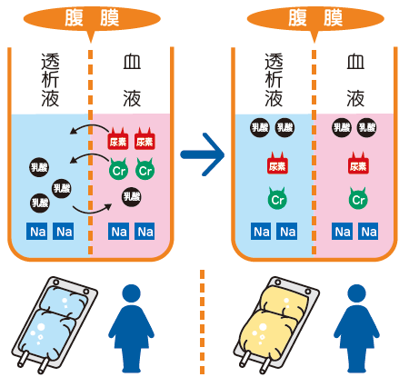 イラスト集公式 協和キリン医療関係者向け情報サイト 協和キリンメディカルサイト