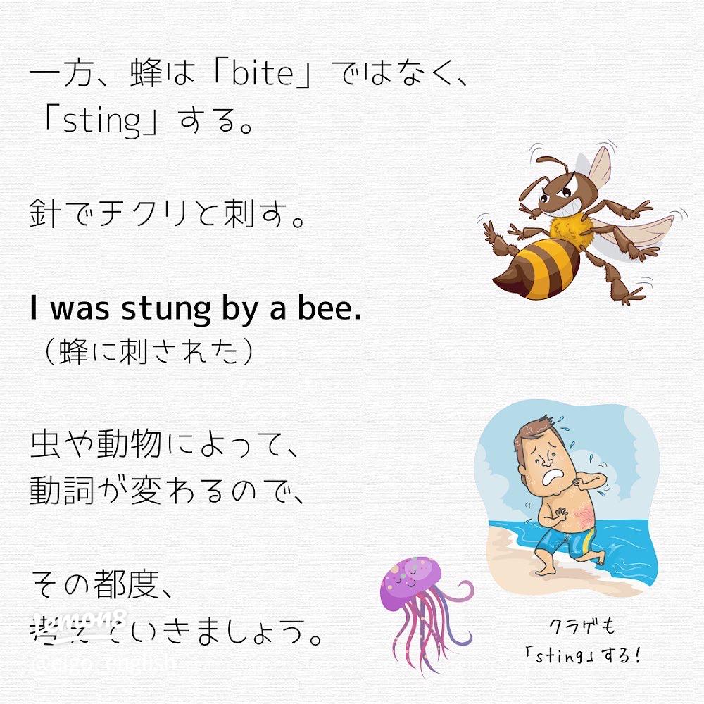 刺すような痛み？それとも鈍痛？どんな痛みか教えてー!!」英語で聞ける？痛みの種類 チャコナのプチ医療英会話 vol.6レバウェル看護 お役立ち情報