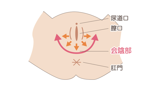 会陰切開・会陰裂傷看護roo! カンゴルー