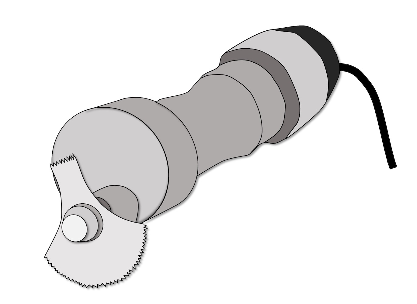 カバンの中身は 動物トピックスブログ野毛山動物園公式サイト公益財団法人 横浜市緑の協会