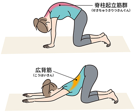 胸筋の効果的なストレッチ5種目胸周り筋肉の可動域を広げ、柔軟性を高めるやり方