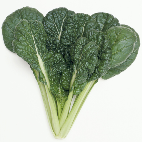 bibigo チヂミの素 bibigo韓飯CJ FOODS JAPAN