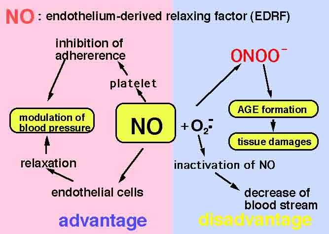 高校の科学部活動で活用される分析化学