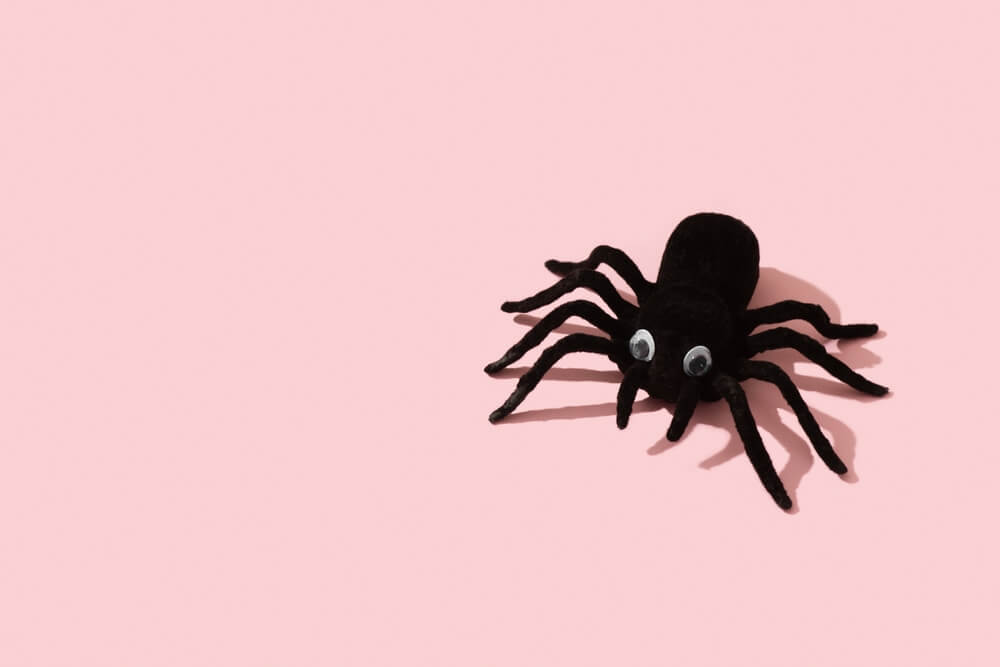 茶色いクモで、足が短いんだ。 : r whatsthisbug