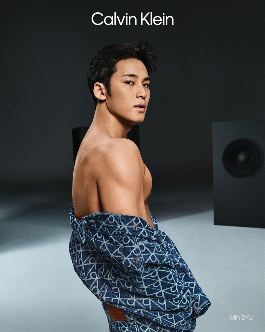 Pin by Su on Mingyu in 2025Mingyu, Kim min-kyu, Mingyu seventeen