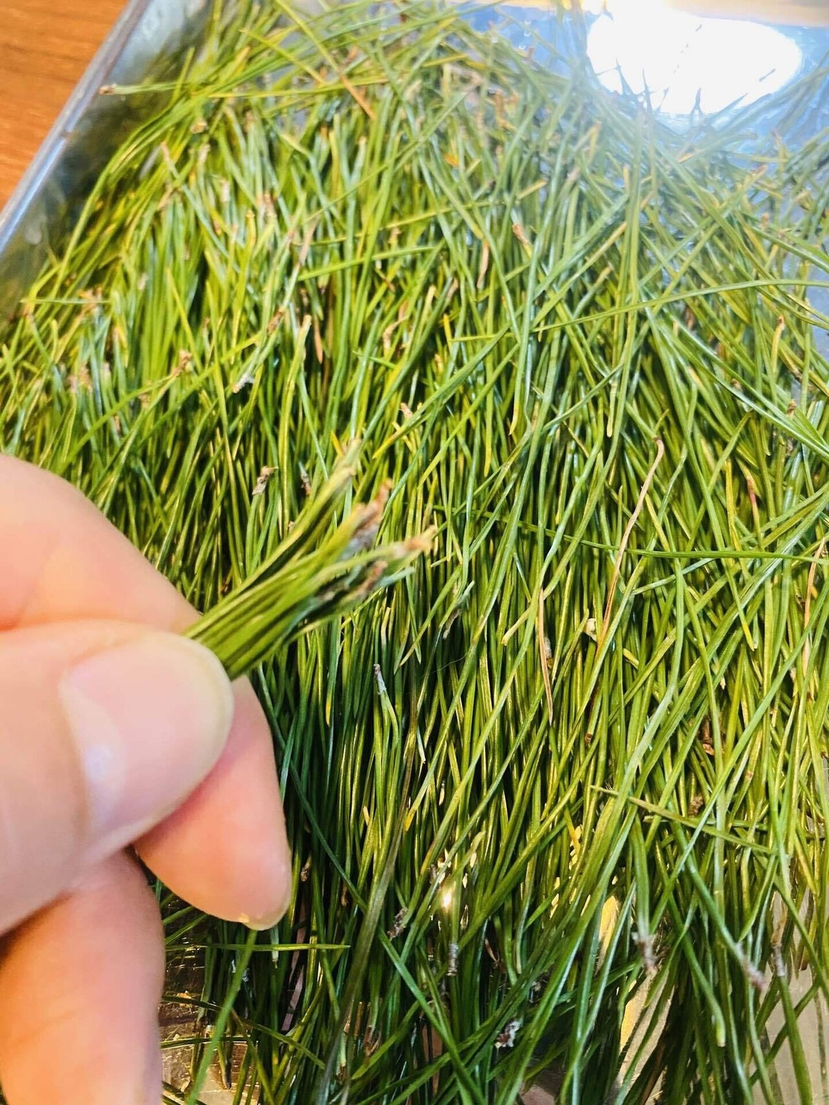 松葉サイダー の作り方