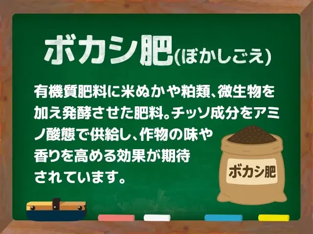 肥桶名古屋市博物館