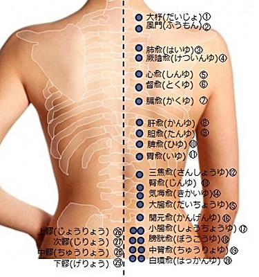 家庭でできるつぼケア つぼの位置 ④ 背中・腰・臀部