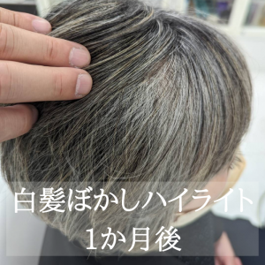 白髪ぼかしの衝撃結果とセルフハイライト検証TikTok