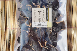 せんい生活STORES