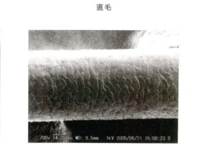 健康な髪の毛とダメージを受けた髪の毛の拡大比較図 イラスト素材6845763- フォトライブラリ