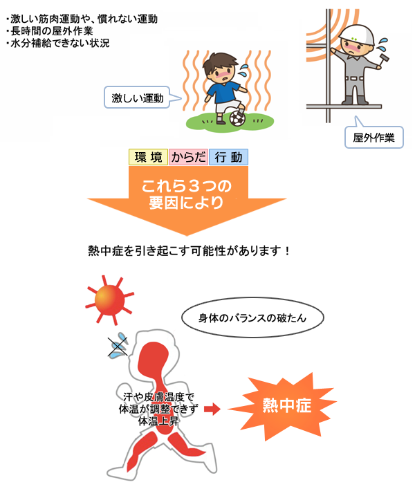 熱中症のメカニズム熱中症ゼロへ - 日本気象協会推進