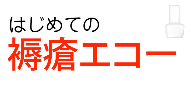 褥瘡の評価 DESIGN-R デザインアール を用いた評価のコツナース専科