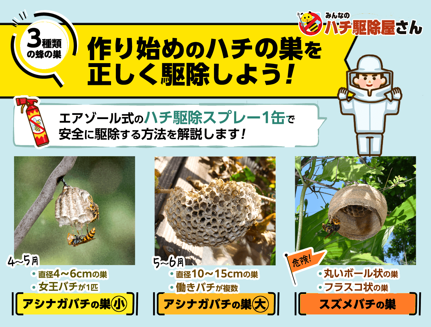 スズメバチが女王だけのうちに駆除を！巣を作らせない方法を紹介