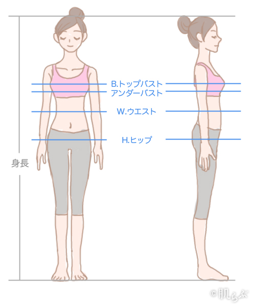 サイズについてよくわかるインナー教科書