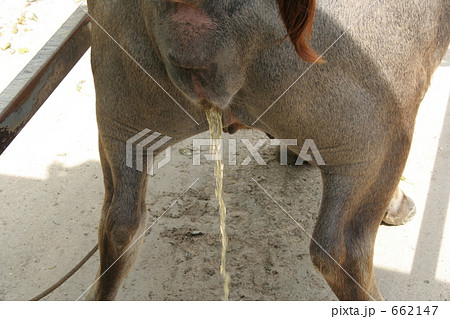 当クリニックについてはたなか皮ふ科・ひ尿器科クリニック スマートフォンサイト 皮膚科 泌尿器科性感染症内科のことなら何でも相談できる地域に密着した確かな医療