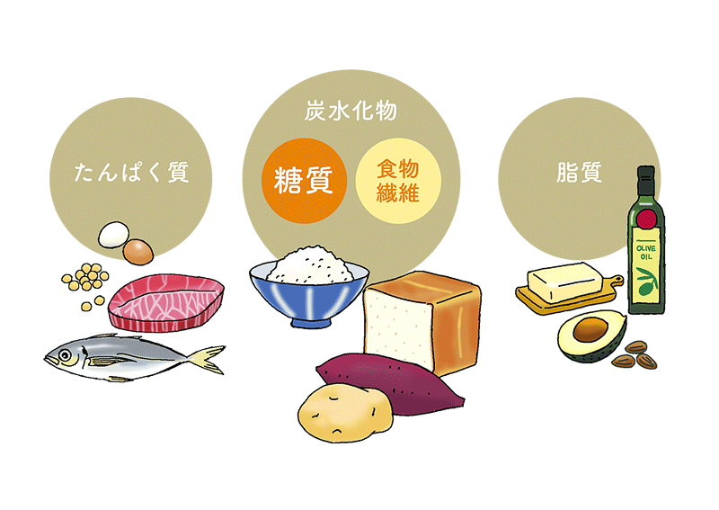 砂糖依存・低血糖症の裏に隠れているもの溝口徹のうつ病からがんの治療までオーソモレキュラー療法 栄養療法 の実際