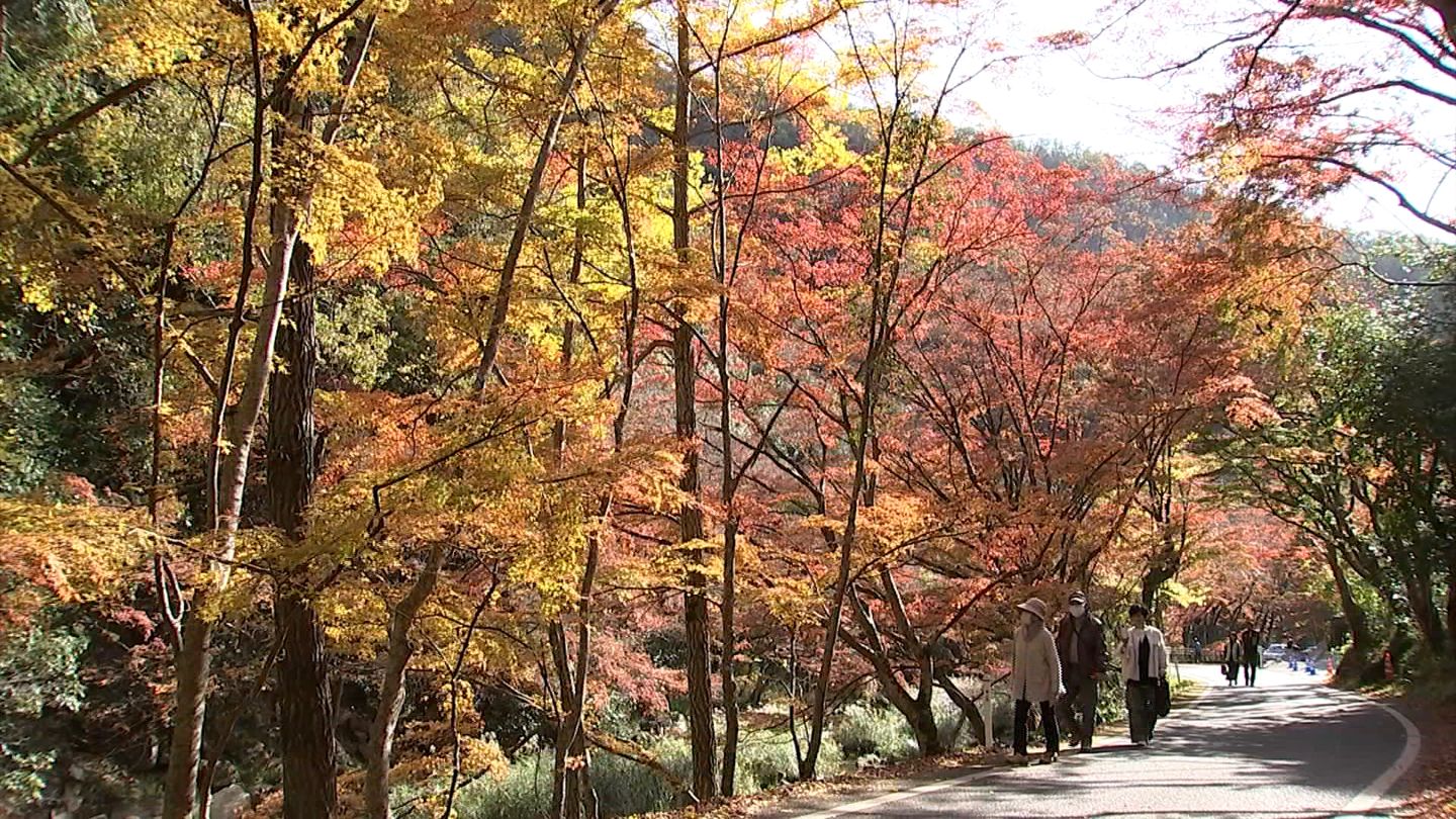 総社市の天気 - Yahoo!天気・災害